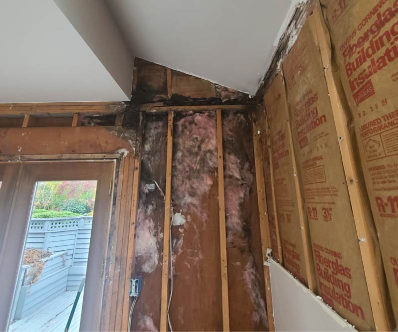 Interior view of an exposed wall during the water restoration process, showing wet insulation and mold-damaged wooden studs being prepared for professional drying and reconstruction.