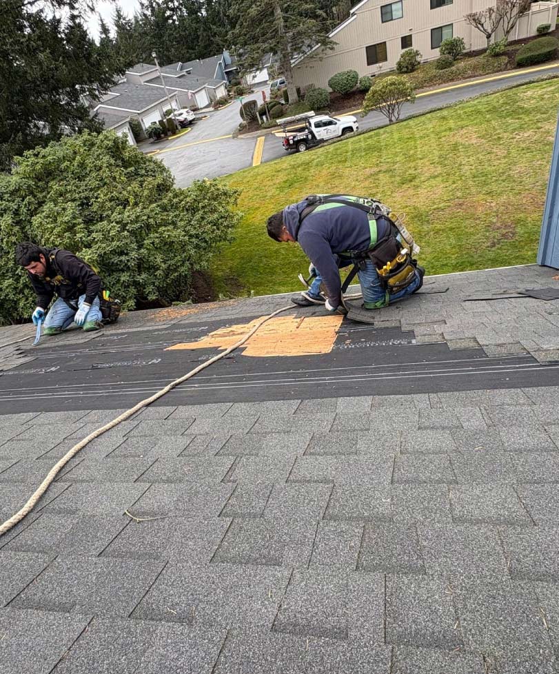 Certified roofing technicians using proper safety harnesses to perform precision shingle replacement and underlayment restoration on a residential home.