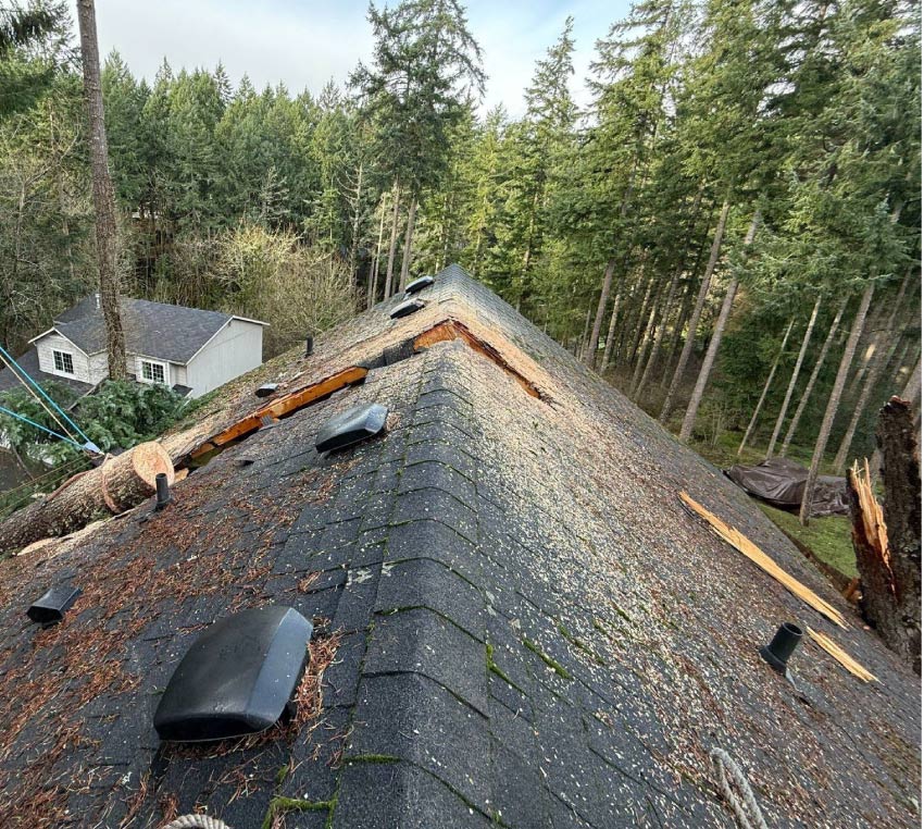roof after a disaster