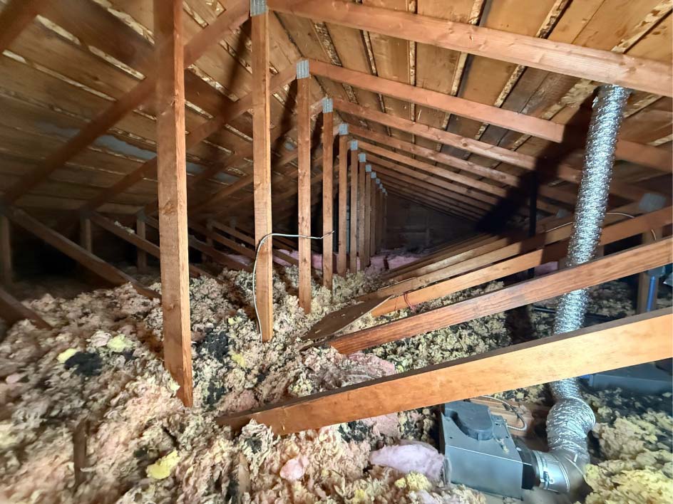 A clear internal view of attic framing, roof trusses, and insulation, showcasing the vital structural and moisture checks needed during a post-storm assessment.