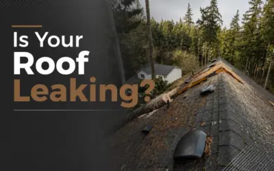 How to Spot Hidden Storm Damage on Your Roof?