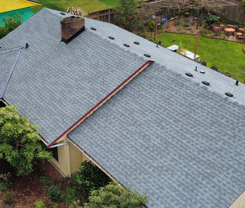 new shingle roof