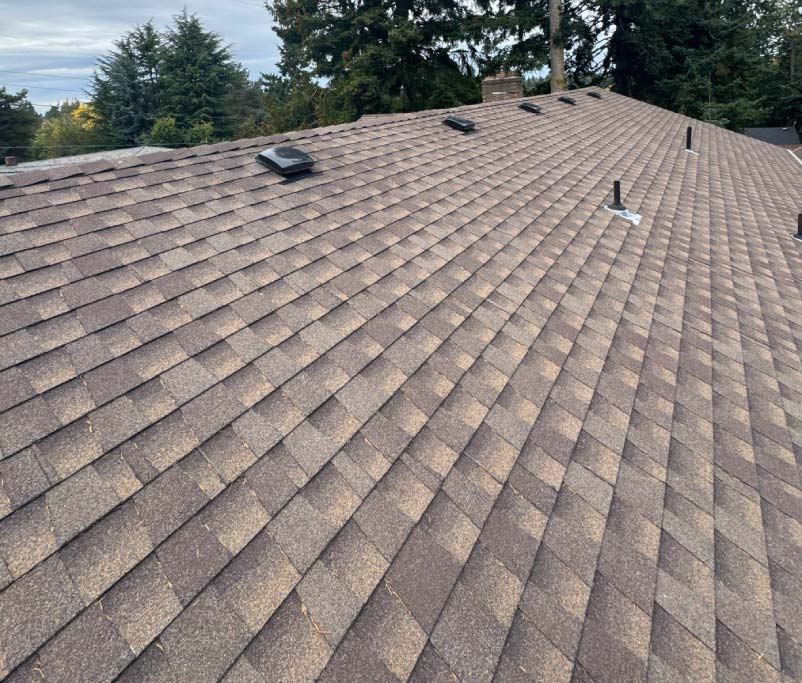 asphalt shingle roof of residential home