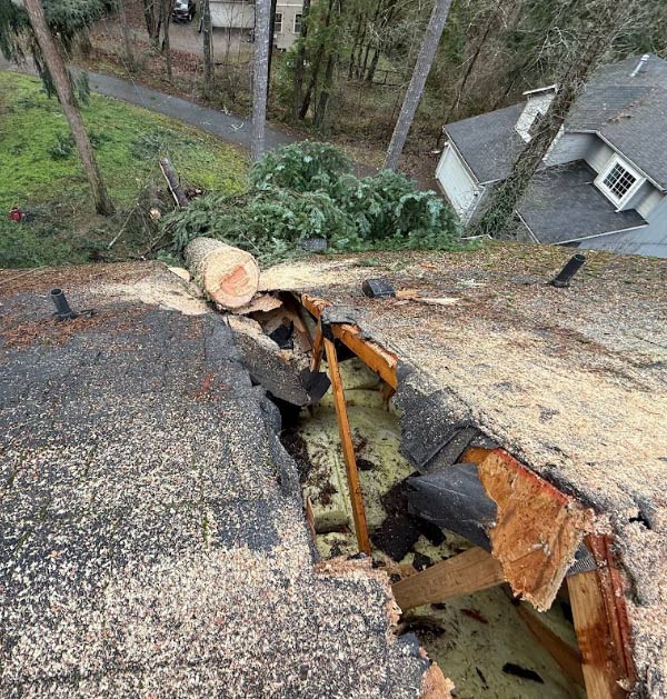 fallen tree causing roof damage 