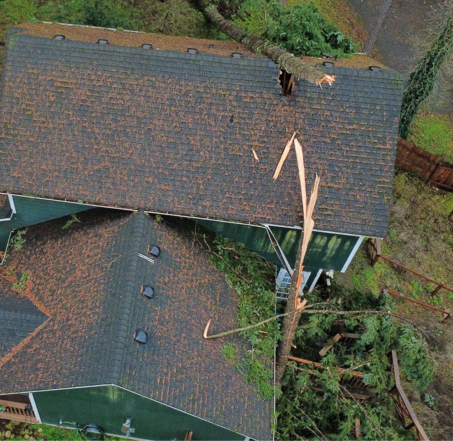 tree causing a disaster  over a house