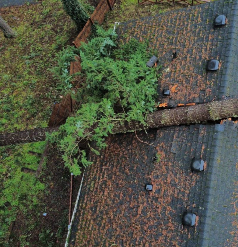 fallen a tree over a roof causing storm damage roof restoration